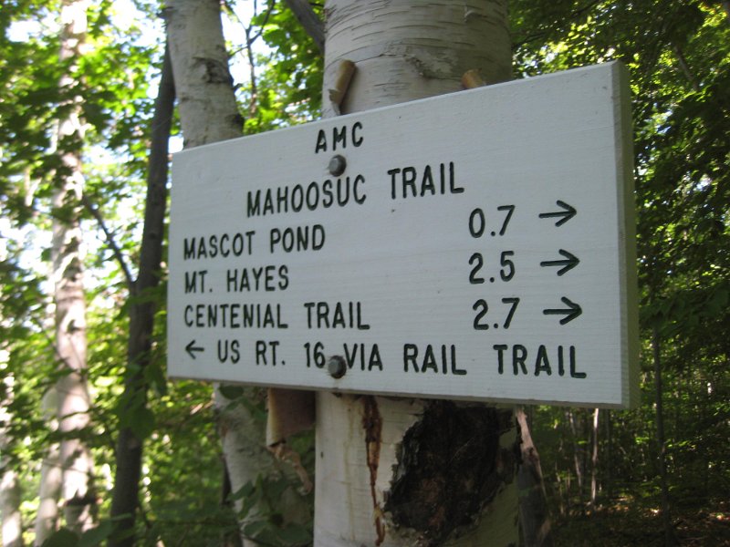 Hayes (1).JPG - The beginning of the Mahoosuc Trail is located 4.5 miles down a bumpy dirt road in Gorham, NH. We were glad we had a 4 wheel drive car to get there.
